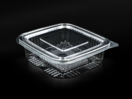 250 ml Food Container With Hinged Lid