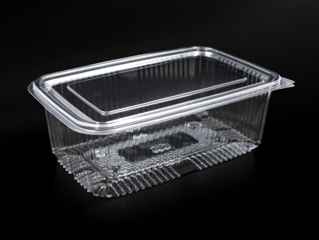 1000 ml Food Container With Hinged Lid