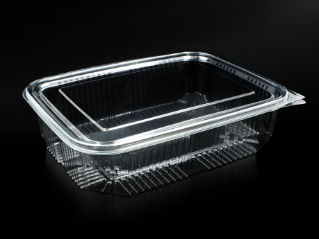 1500 ml Food Container With Hinged Lid