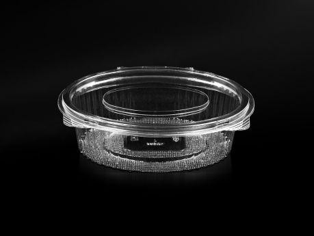 250 ml Oval Food Container, With Hinged Lid